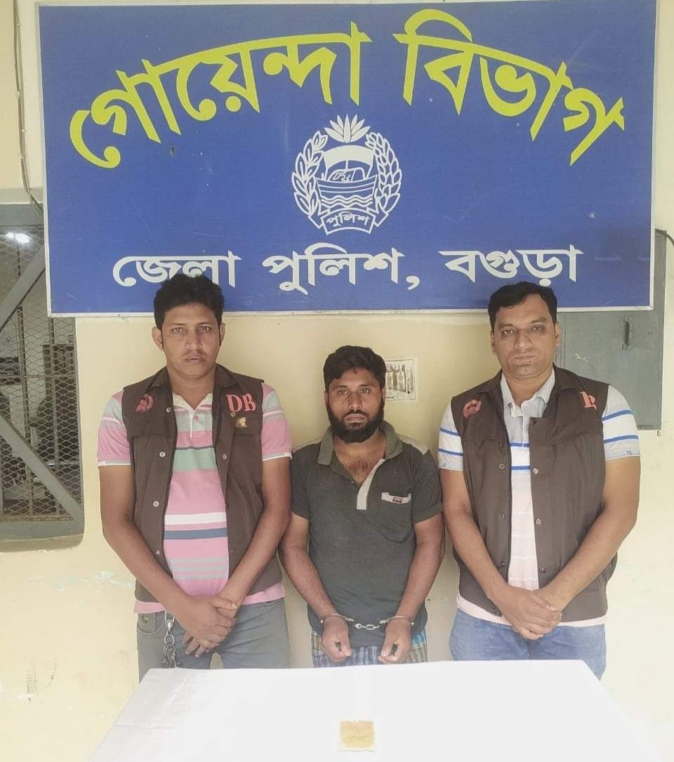 ২৫০ পিস ইয়াবাসহ মাদক ব্যবসায়ী গ্রেফতার