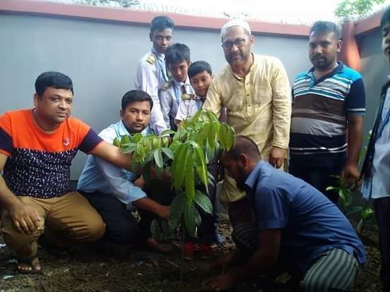 বগুড়ায় পরিবেশ সচেতনতা বিষয়ক আলোচনা সভা ও বৃক্ষরোপন