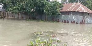 উজান থেকে আসা ঢল ও দেশের অভ্যন্তরে বর্ষনে বগুড়ায় যমুনায় পানি বৃদ্ধি অব্যাহত রয়েছে।