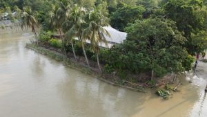 সারিয়াকান্দি মথুরাপুর গ্রামের চিত্র। ছবিঃ এনসিএন