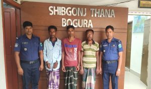 বগুড়ায় ডাকাত দলের ৭ সদস্য গ্রেফতার