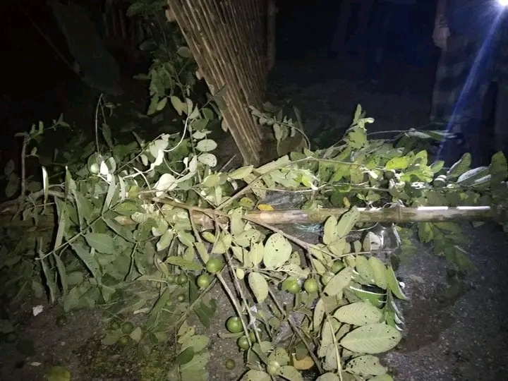 বগুড়ার শাজাহানপুর উপজেলায় বিএনপি নেতার বাড়িতে হামলা