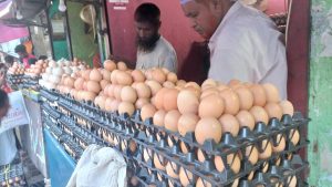 অধিক মুনাফা লাভের জন্য হিমাগারে সুপার ফুড ডিম