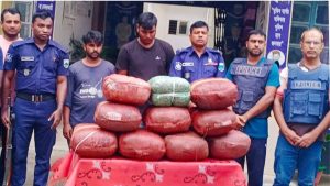 নন্দীগ্রামে মাদকসহ গ্রেফতার ২, ট্রাক জব্দ