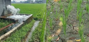 জমিতে সেচেই এখন ভরসা কৃষকের