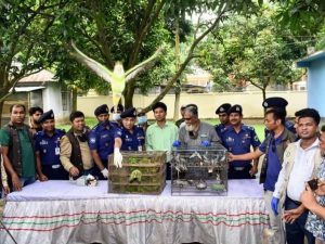 নন্দীগ্রামে বিপুল পরিমাণ বিভিন্ন প্রজাতির বন্যপাখি উদ্ধার। ছবিঃ এনসিএন