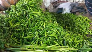 বগুড়ায় কাঁচা মরিচের দাম কেজিতে ১শ‘ টাকা কমেছে