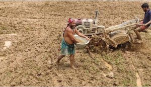 বগুড়ায় সারের কোন সংকট নেই: গুজব ছড়িয়ে পরিস্থিতি অশান্ত করা হচ্ছে