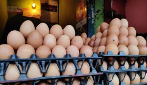 বগুড়ায় ৫ টাকা বাড়ালেই ডিমের হাফ সেঞ্চুরিv
