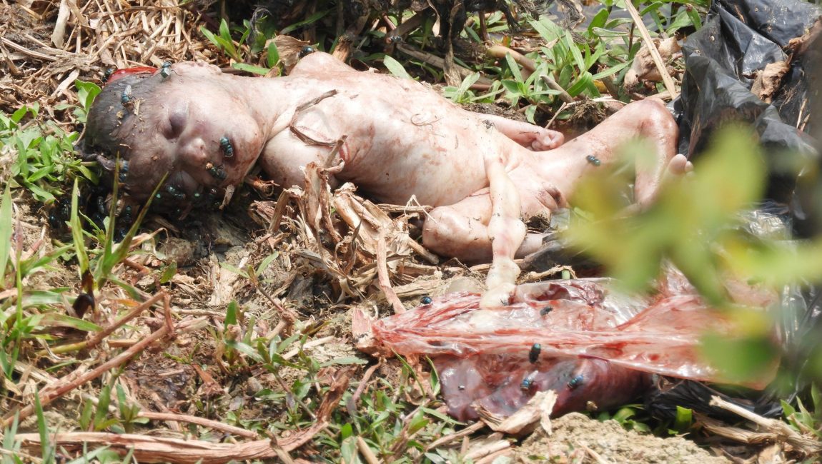 117A3E8C-3A9F-4140-AE64-F976469C5B88