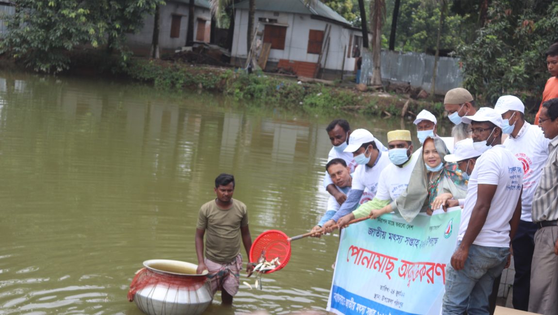 শাজাহানপুরে মৎস্য সপ্তাহ উপলক্ষে পোনামাছ অবমুক্তকরণ