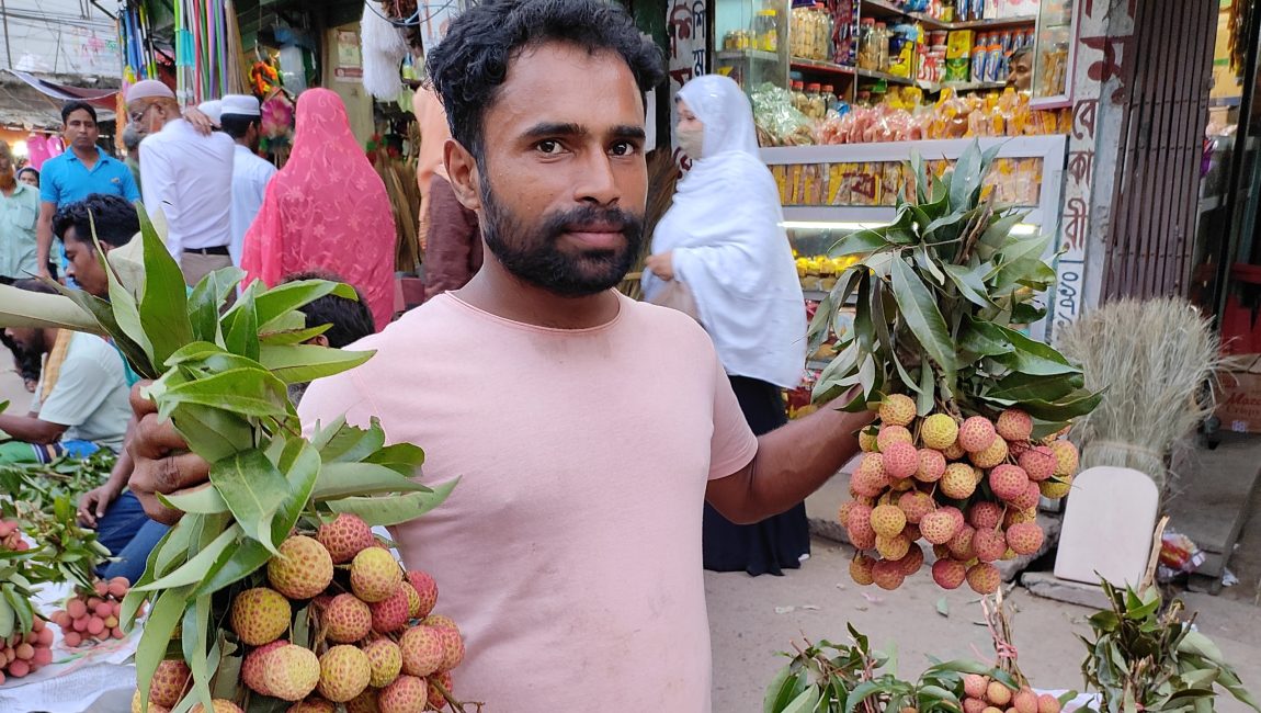 বগুড়া শহরের কাঠালতলায় মৌসুমি ফল লিচু বিক্রি করছেন খুচরা ব্যবসায়ী কোকোলা। ছবি: এনসিএন