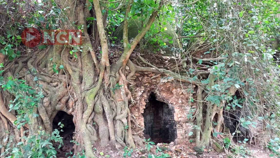 বটগাছে ঘেরা রহস্যময় প্রাচীন মসজিদ