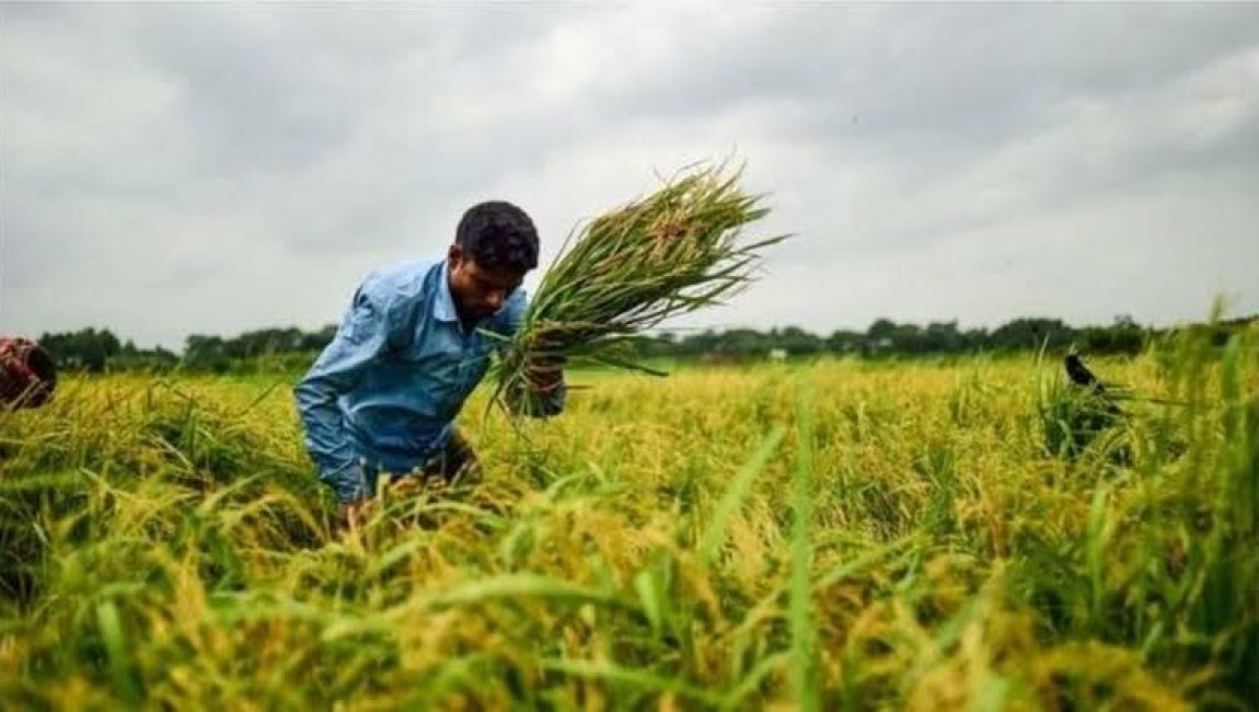 ছবি: বিবিসি