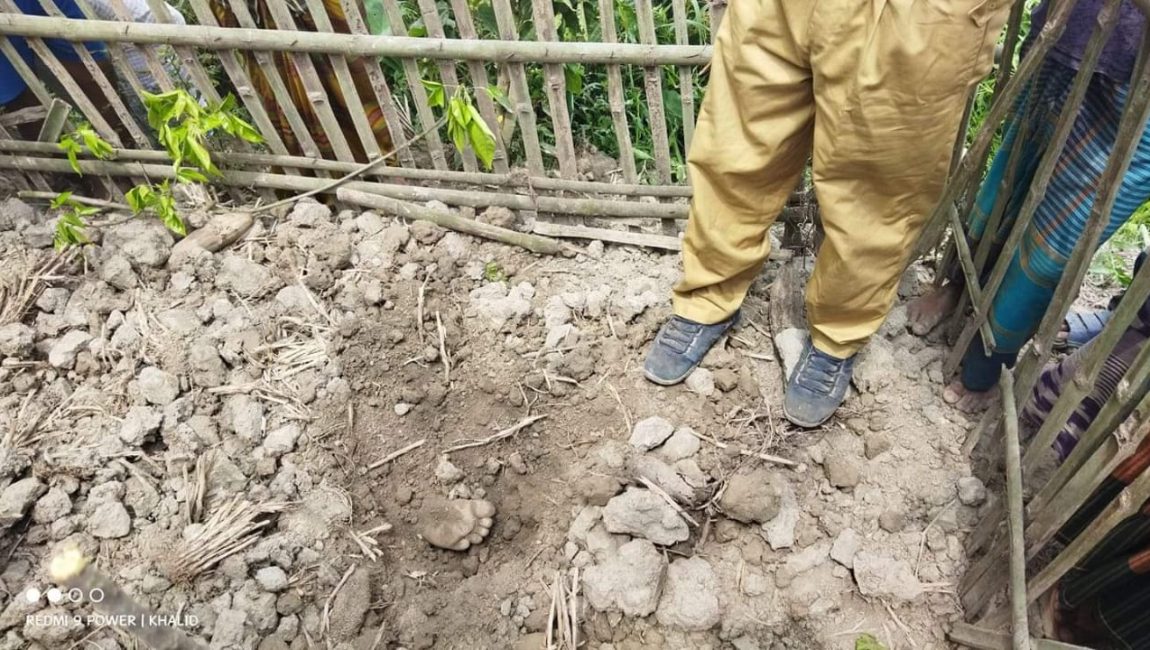 শাজাহানপুরে কবর থেকে উদ্ধারকৃত মৃত লাশ। ছবিঃ এনসিএন