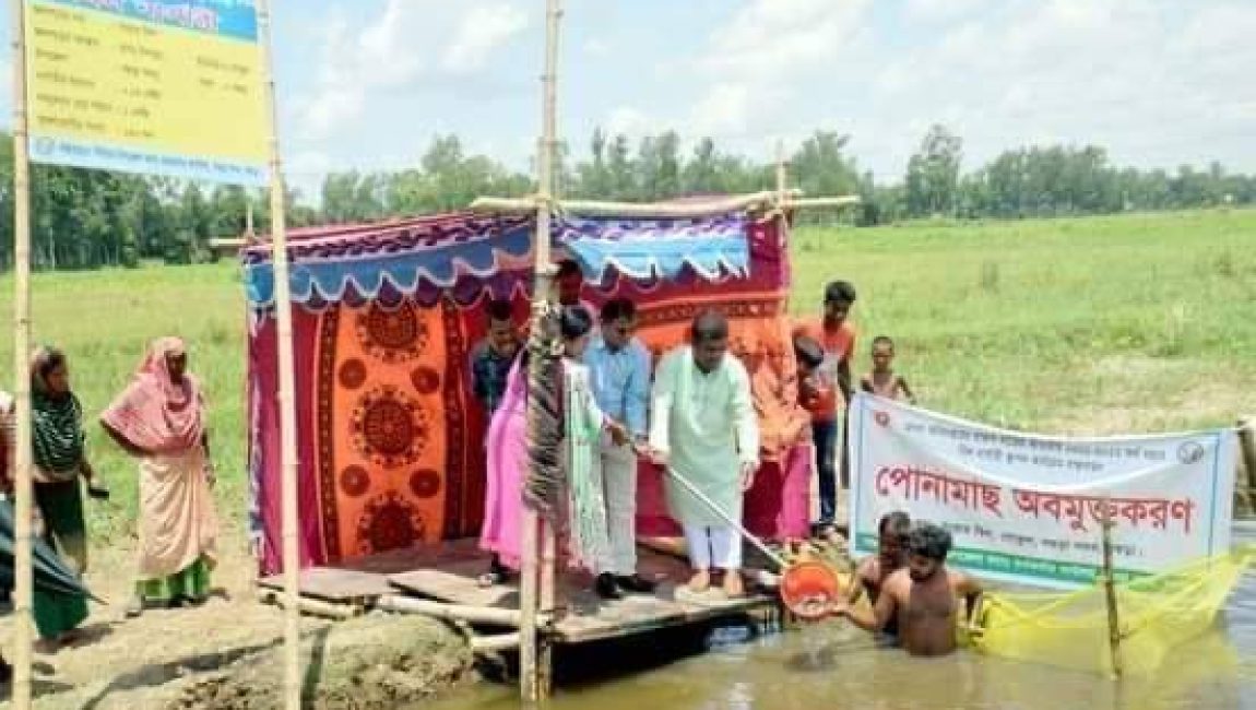মাছের পোনা অবমুক্ত করণ কার্যক্রম। ছবিঃ এনসিএন