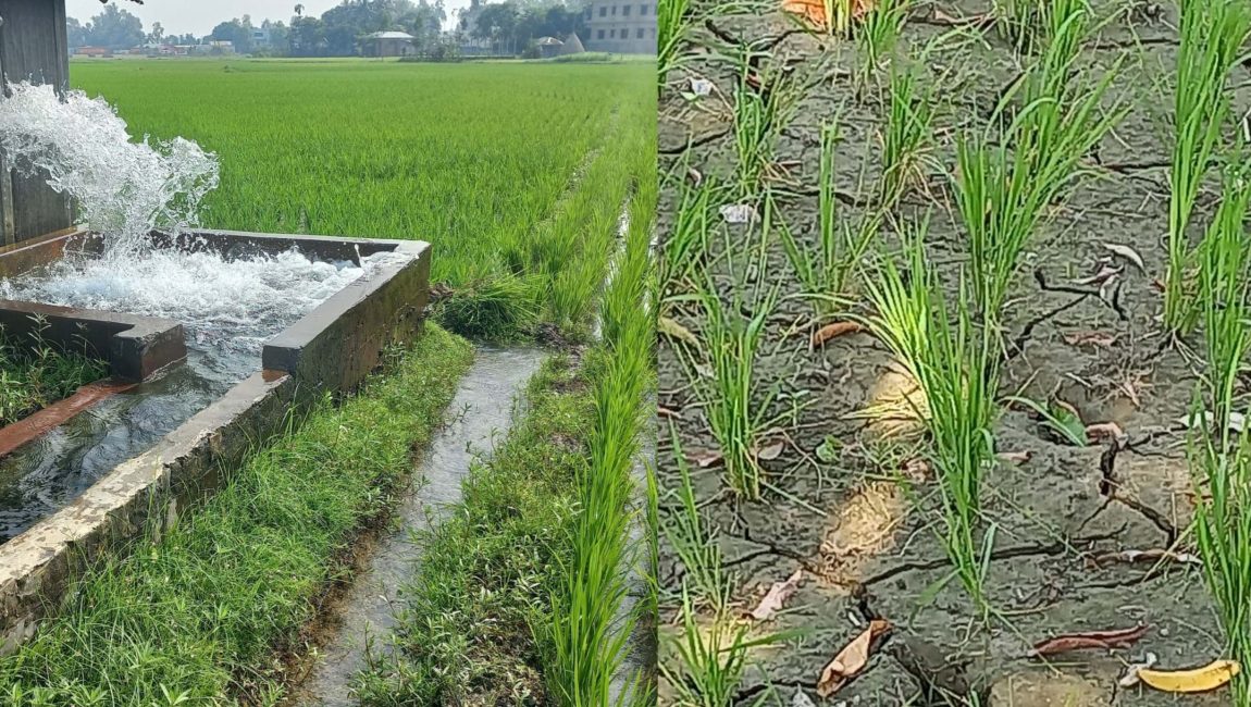 জমিতে সেচেই এখন ভরসা কৃষকের