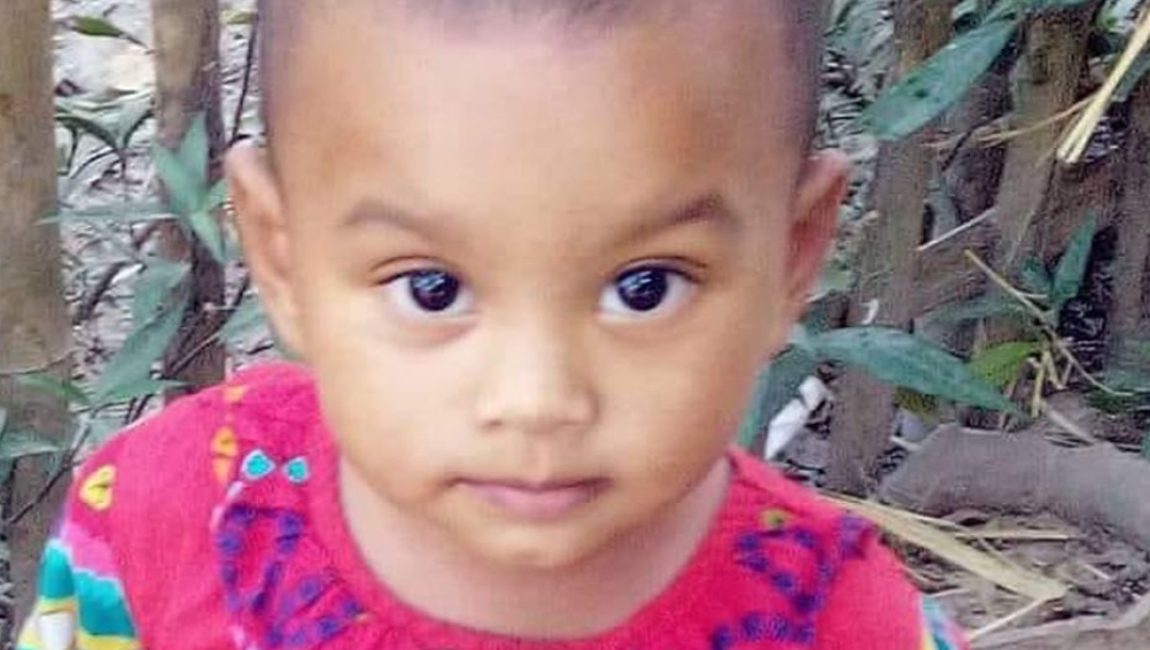 বগুড়ায় সাপের কামড়ে শিশুর মৃত্যু