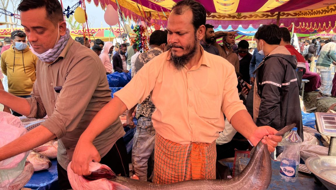 ছবি: এন সি এন