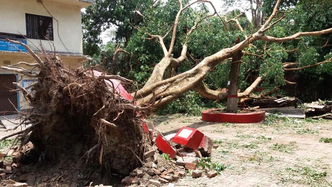 বগুড়ায় কালবৈশাখী ঝড়ের তান্ডব। ছবি: এনসিএন