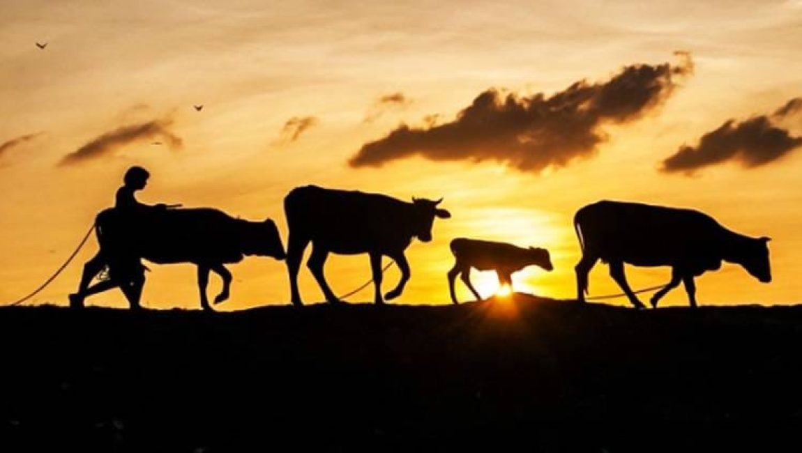 প্রতীকী ছবি