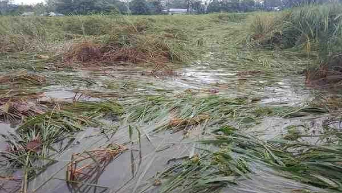 IMG-20251101-WA00361