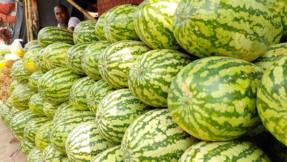 মৌসুমী ফল তরমুজ। ছবি: এনসিএন