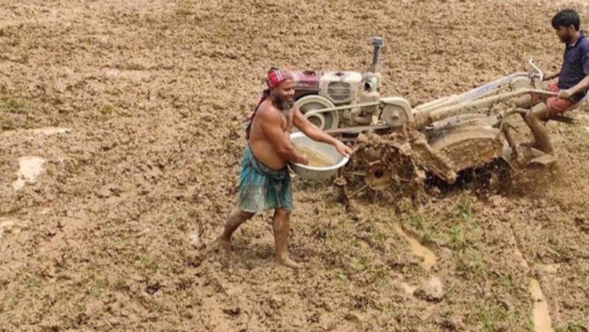 বগুড়ায় সারের কোন সংকট নেই: গুজব ছড়িয়ে পরিস্থিতি অশান্ত করা হচ্ছে