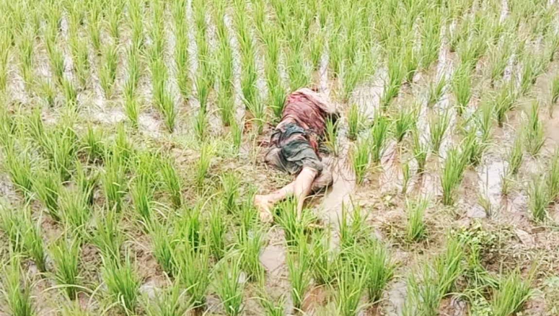 বগুড়ায় ভ্যান চালকের লাশ উদ্ধার।