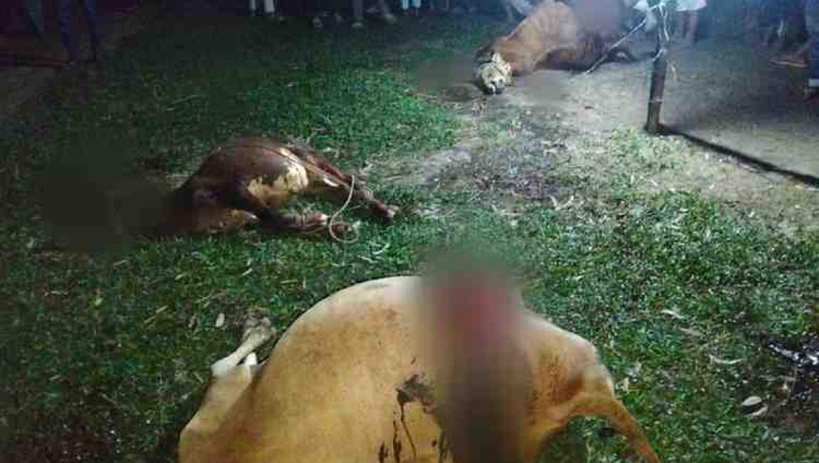 Picsart_25-11-05_21-48-32-725