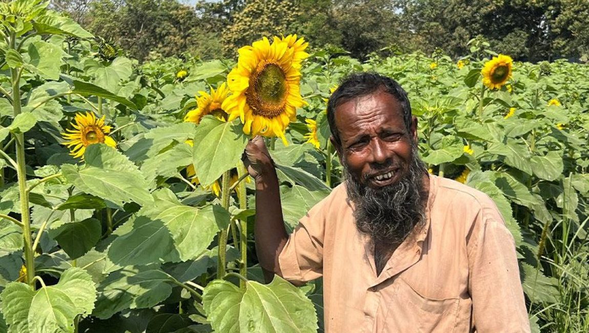 ছবিঃ এন সি এন
