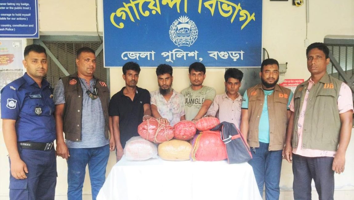 ২৫ কেজি গাঁজাসহ চারজনকে গ্রেফতার করেছে ডিবি। ছবি: এনসিএন