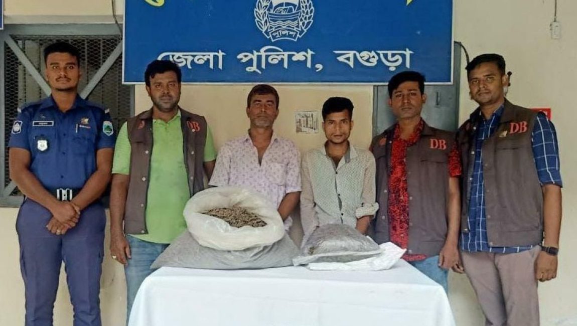 বগুড়ায় ৯ কেজি গাঁজাসহ গ্রেফতার ২। ছবি: এনসিএন