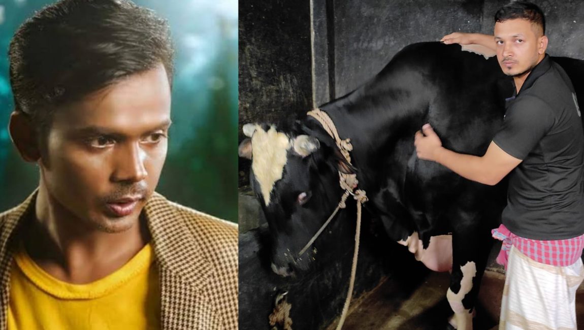 বগুড়ায় কোরবানির হাটে সাড়া ফেলেছে ‘হিরো আলম’