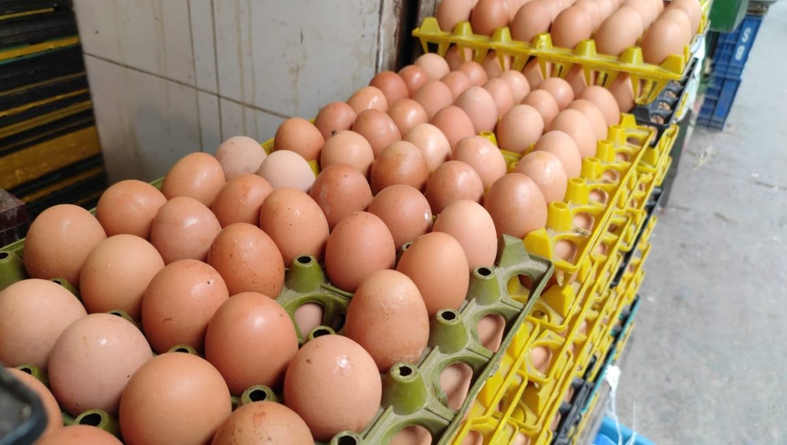 লেয়ার মুরগির ডিম