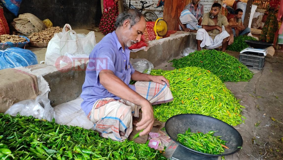 আগামী এক মাস পর সু-সংবাদ মিলবে কাঁচা মরিচের বাজারে। ছবি: এনসিএন
