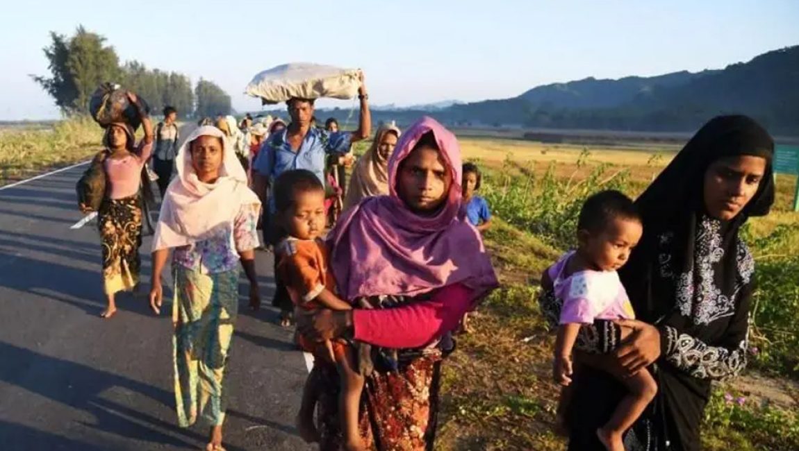 image-281473-1734929331bdjournal