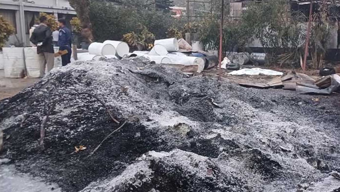 image-281479-1734934148bdjournal