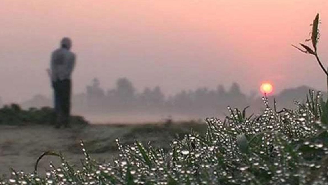 image-281588-1735112594bdjournal