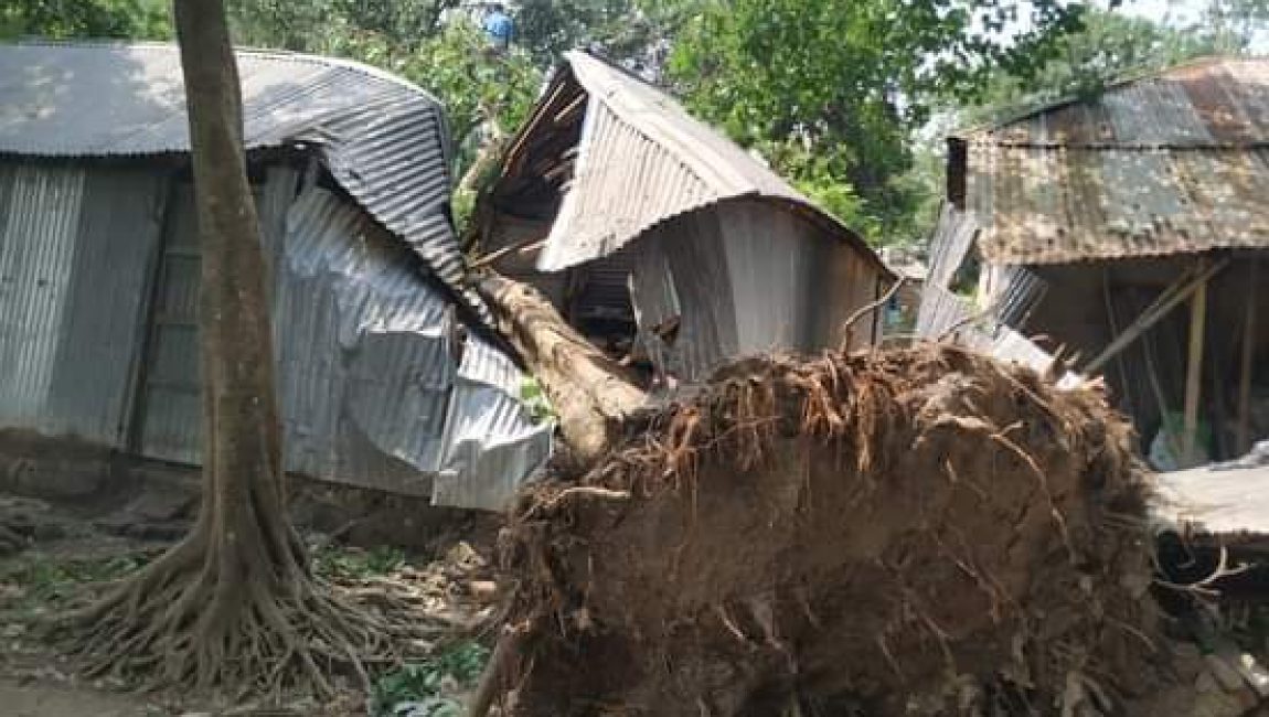 বগুড়ায় কাল বৈশাখী তান্ডব, গাছের নিচে রাত্রিযাপন করছে অসহায় পরিবার। ছবি: এনসিএন