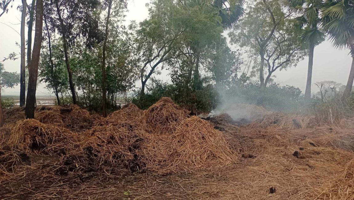 received_769628544525738