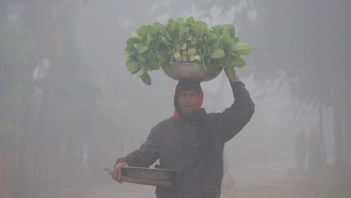 ছবিঃ প্রথম আলো